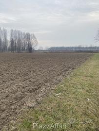 Terreno agricolo a Sant'Angelo di Piove di Sacco