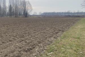 Terreno agricolo a Sant'Angelo di Piove di Sacco