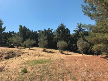 Terreno in Via Cusmano snc Caltanissetta