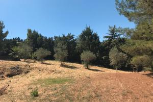 Terreno in Via Cusmano snc Caltanissetta