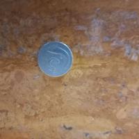 Moneta di 5 lire italiane del 1952