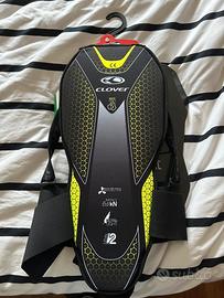 Paraschiena clover lv.2