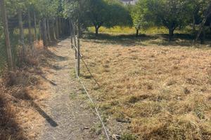 Terreno agricolo