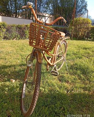 Bicicletta in Bamboo cinese 