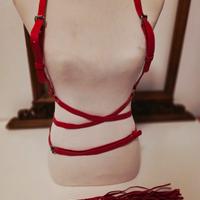 Pettorina harness rosso imbracatura body natale  