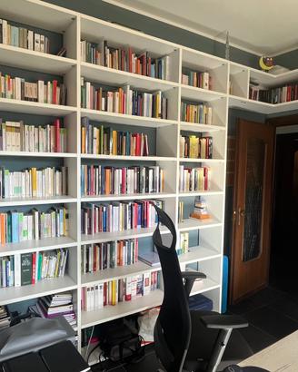 Libreria /Scaffalature (valore 4300 E, come nuovo)