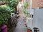 Immagine 10