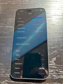 iPhone 15 Pro Max 256 GB – Condizioni perfette
