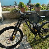 Specialized demo race