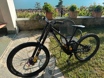 Specialized demo race