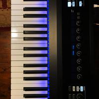 NATIVE INSTRUMENT Kontrol S88