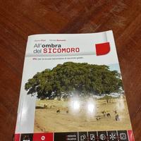 all’ombra del sicomoro