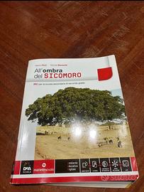 all’ombra del sicomoro