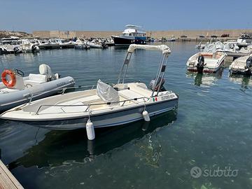 Barca a motore California 460