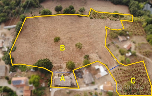 2.5 ha ti terreno coltivabile con capannone