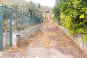 TERRENO A PALERMO