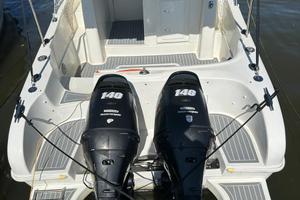 Murena Petrachi 730 wa