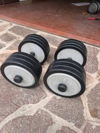 coppia manubri 40kg
