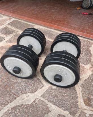 coppia manubri 40kg