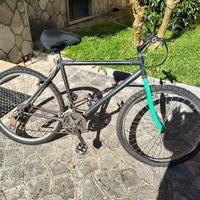 bicicletta montain bike bianchi