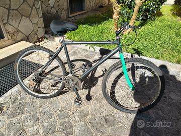 bicicletta montain bike bianchi