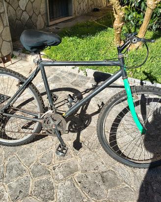 bicicletta montain bike bianchi
