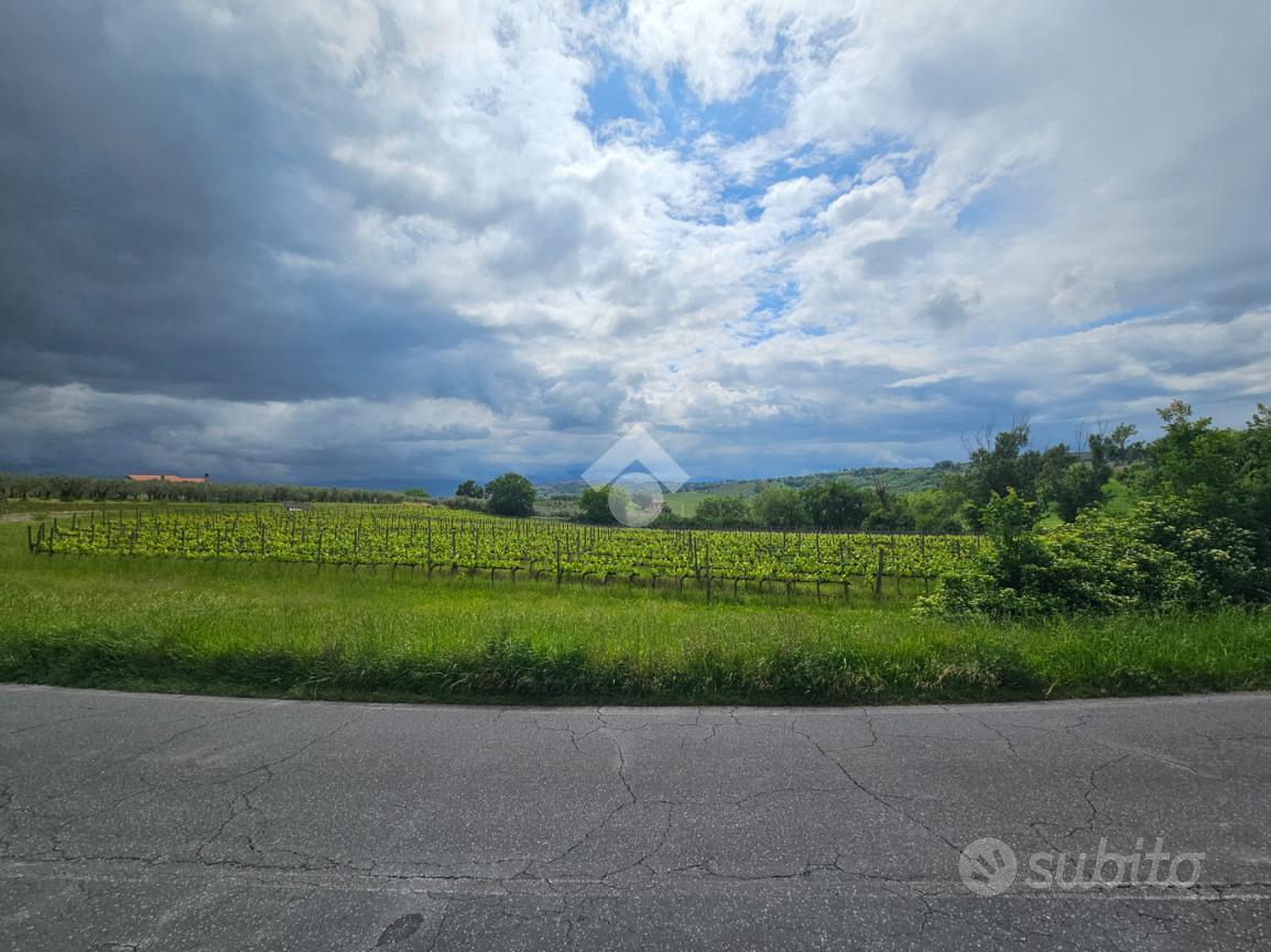 TER. AGRICOLO A BEVAGNA - Altro