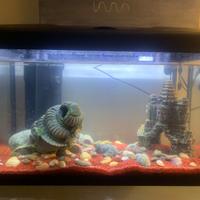 Acquario led 60 lt