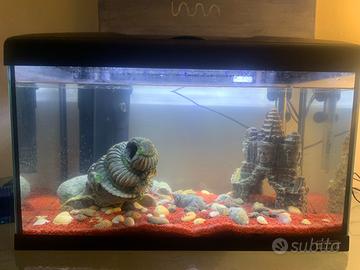 Acquario led 60 lt