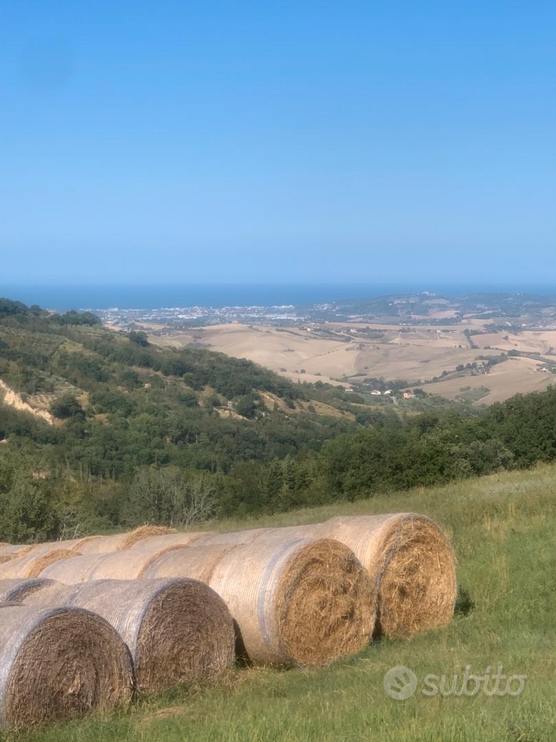 Terreno Agricolo - Vista 4