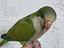 Immagine 1