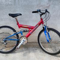 Bicicletta ragazzo 24"