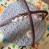 Palestrina done by deer nuova