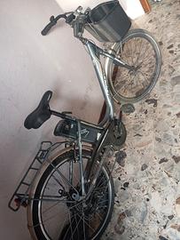 Bicicletta elettrica 
