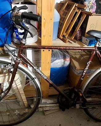 Bicicletta da uomo Esperia