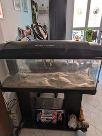 Acquario