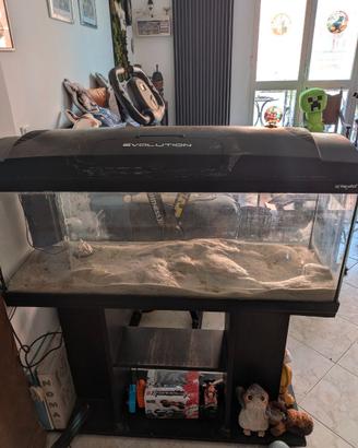 Acquario