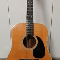 MARTIN  D28 elettrificata