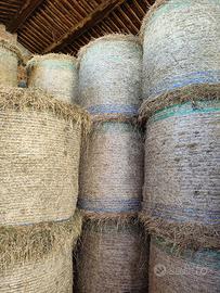 Fieno in rotoballe