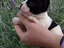 Immagine 4