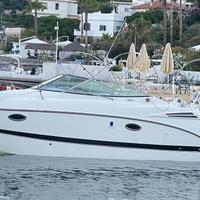Maxum 26