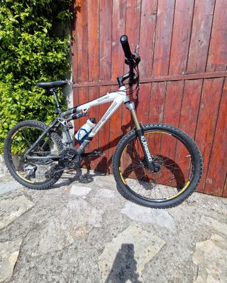 Rocky mountain Slayer