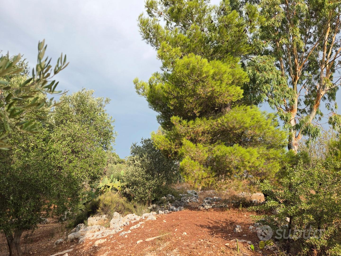 Terreno edificabile con fabbricato a Ostuni - Vista 2