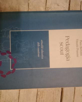pedagogia scout 