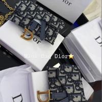 pochette dior