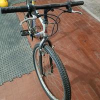 bicicletta mtb
