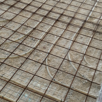 Muratore carpentiere