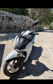 Sh 350 sport 2026