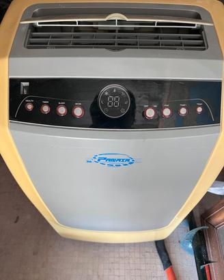 climatizzatore portatile