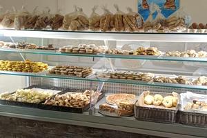 ATTIVITÀ A TERRASINI